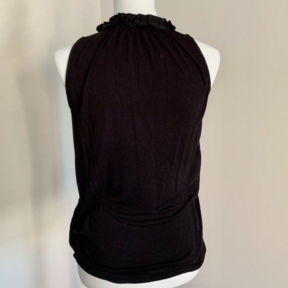 The Limited Ruffle Neckline Top - Picture 5 of 7